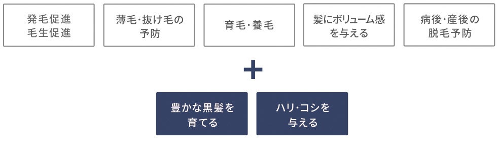 ティ・エス スカルプ ラッシュ ＋ ブロウ セラム 発売記念キャンペーン