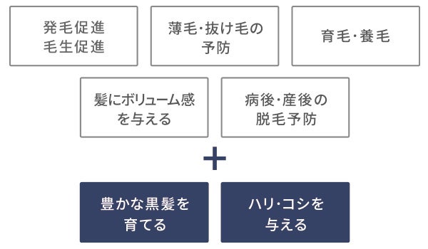 ティ・エス スカルプ ラッシュ ＋ ブロウ セラム 発売記念キャンペーン