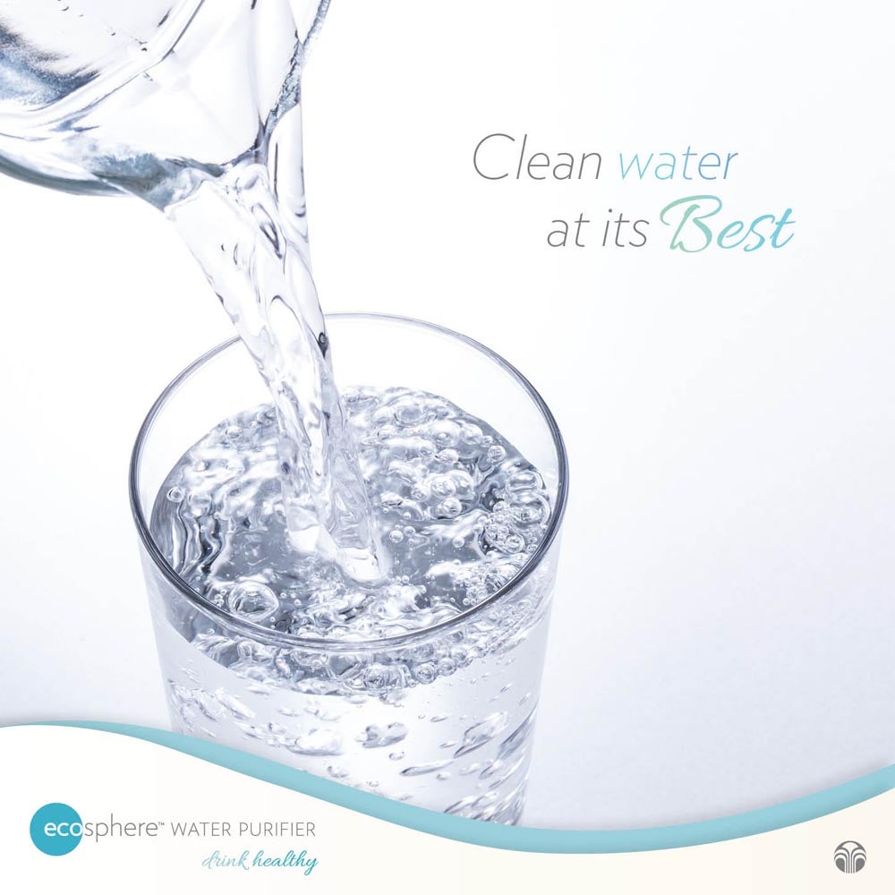 Water Purifier: H20 Facts You Should Know
