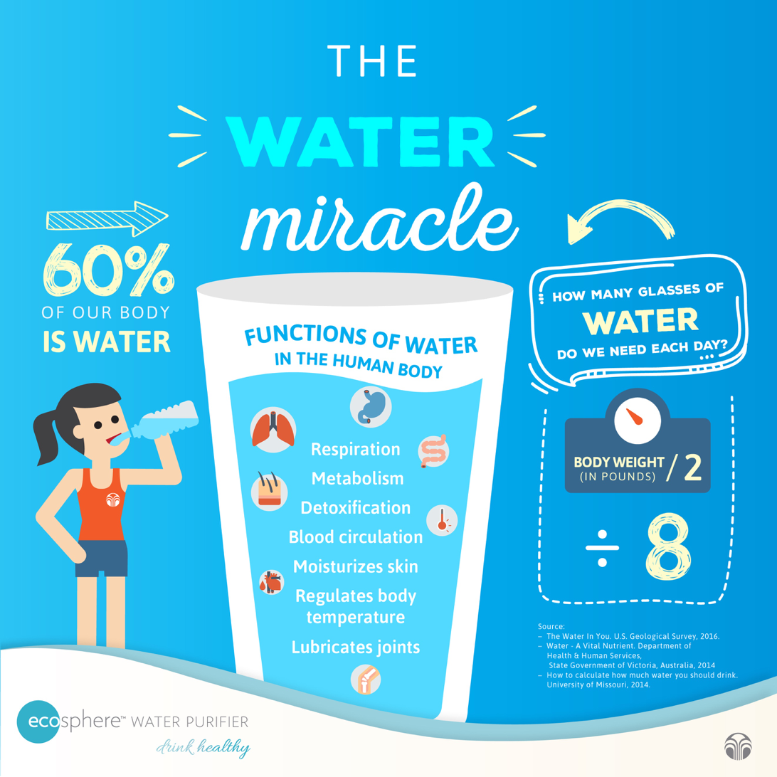 Water Miracle Facts - UV-Water Purifier